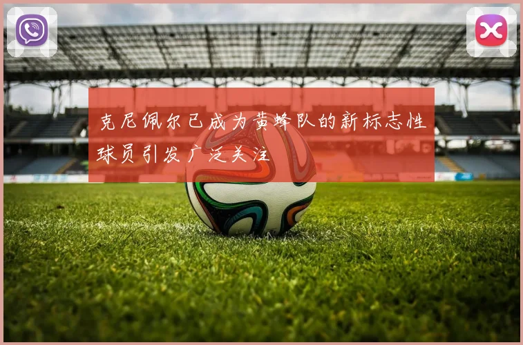 克尼佩尔已成为黄蜂队的新标志性球员引发广泛关注
