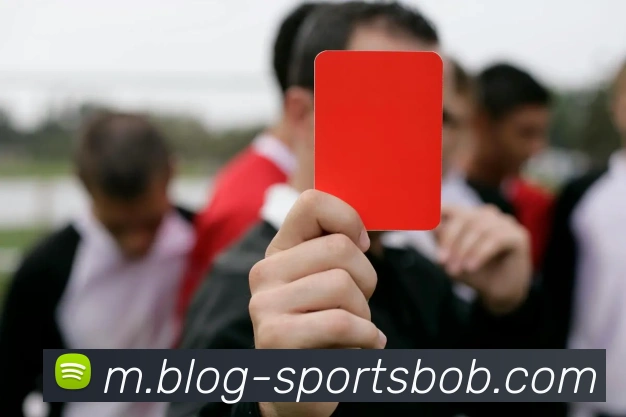 BOB体育APP 高清赛事图